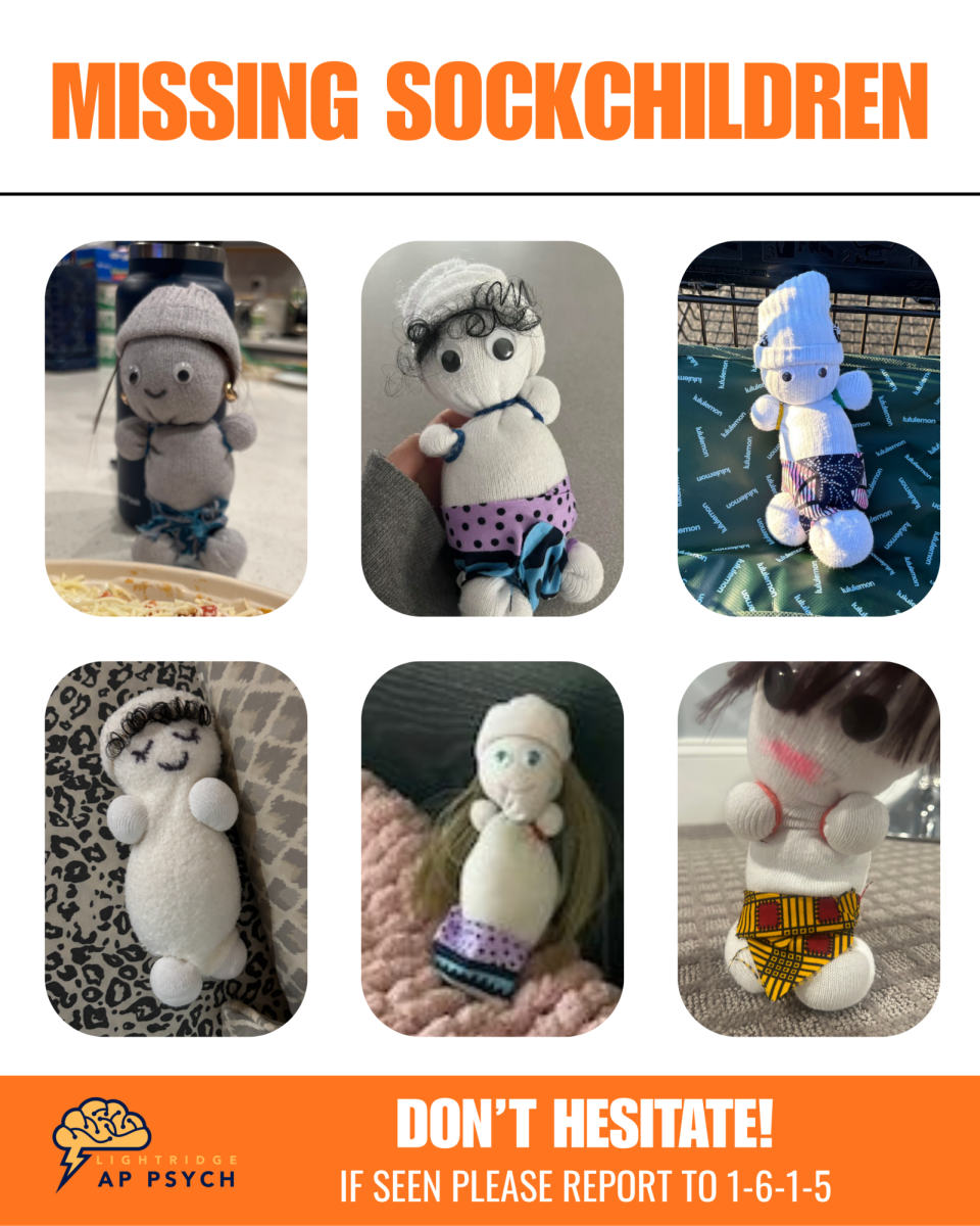 Missing posters appeared all over campus after a rash of sock baby kidnappings paralyzed staff and students alike.  Image courtesy of Irene Moulton.